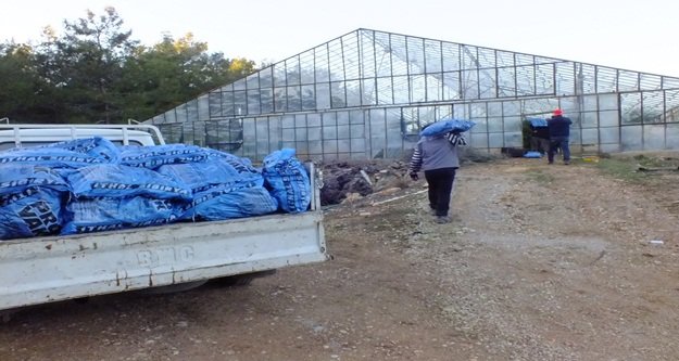 Seralara kamyon kamyon kömür taşıyorlar