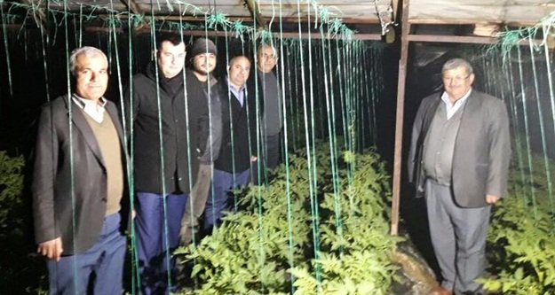 Türkdoğan çifçilerle don nöbetinde