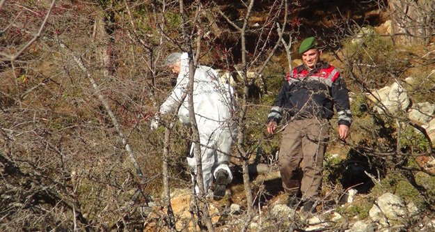 Ağaca asılı çürümüş erkek cesedi bulundu