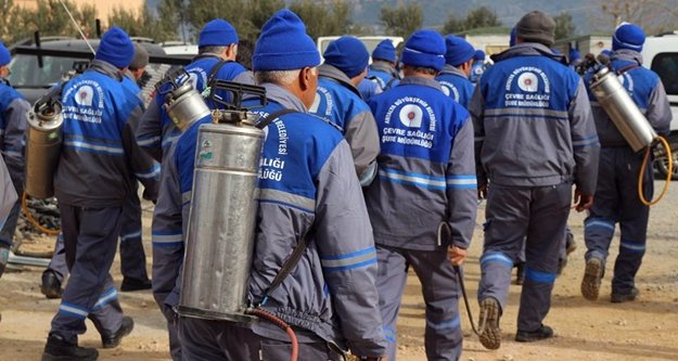 Alanya'yı sineksiz bir yaz bekliyor