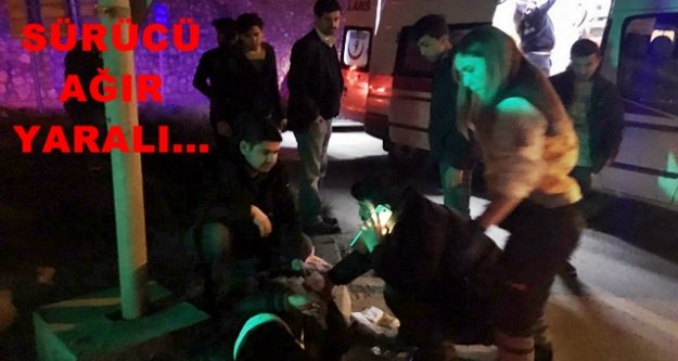 Elikesik'te can pazarı