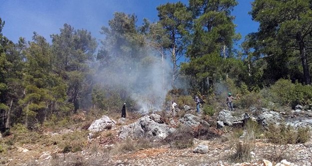 Alanya'da orman yangını panik yarattı