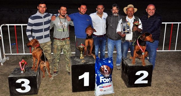 Av köpekleri kıyasıya yarıştı