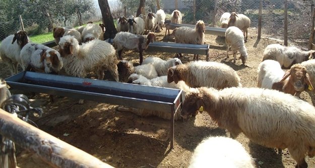 Bakanlıktan köylüye 30 milyon kredi