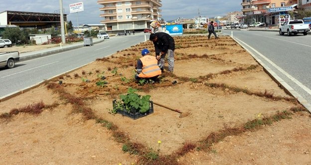Büyükşehir Alanya'yı çiçeklerle donatıyor