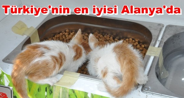 Can dostlarımıza dört dörtlük hizmet