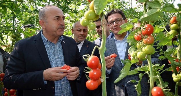 Çavuşoğlu'ndan domatese tam not