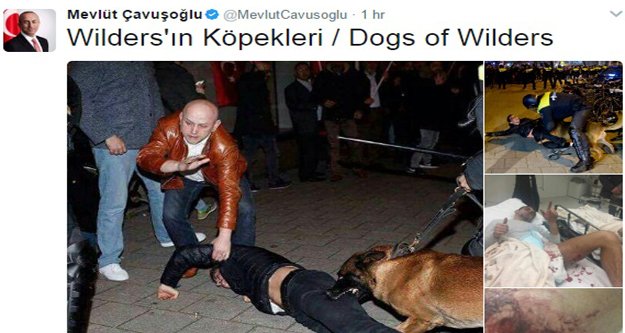 Çavuşoğlu sert konuştu: Köpekler
