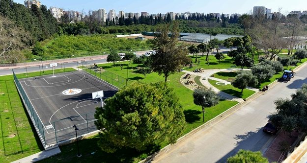 En güzel ağaç seçiliyor