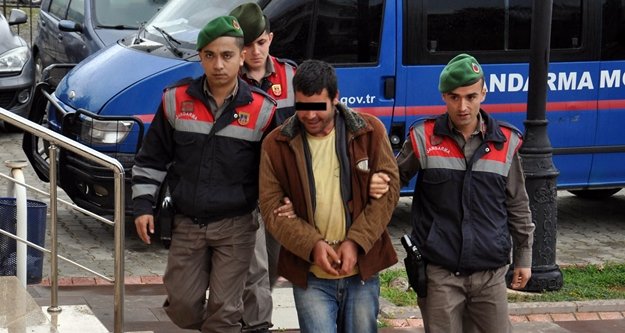 Salatalık serasına jandarma baskını