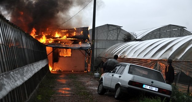 Sera evi küle döndü