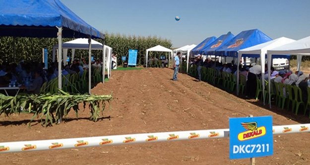 ‘Tarla Günü’ düzenlendi