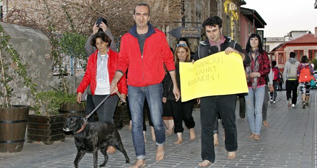 Zehirlenen kediler için ilginç eylem