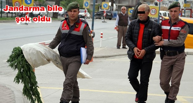 Alanya'da sera baskını