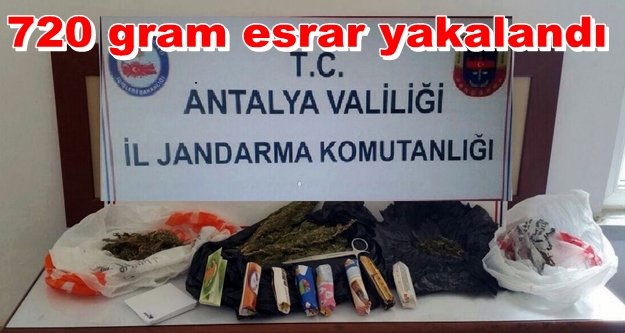 Alanya'da zehir tacirlerine operasyon