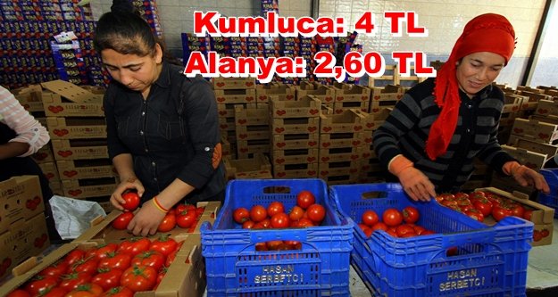 Alanyalı üretici isyan etti