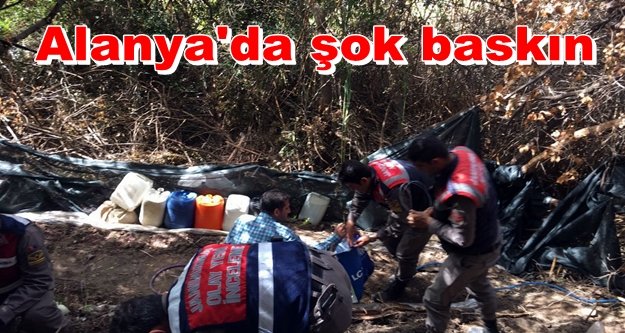 Ormana kenevir bahçesi kurmuşlar