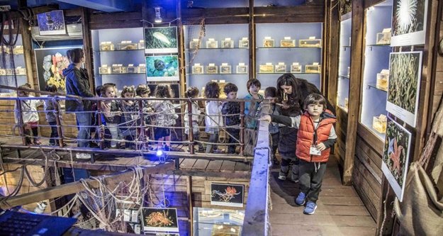 Sualtının büyülü dünyası Deniz Müzesi’nde