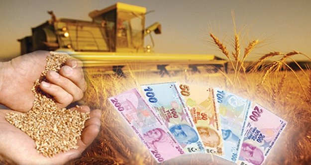 Alanya'nın 10 projesine hibe desteği