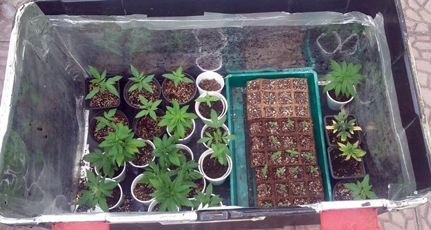 Uyuşturucuya polis darbesi