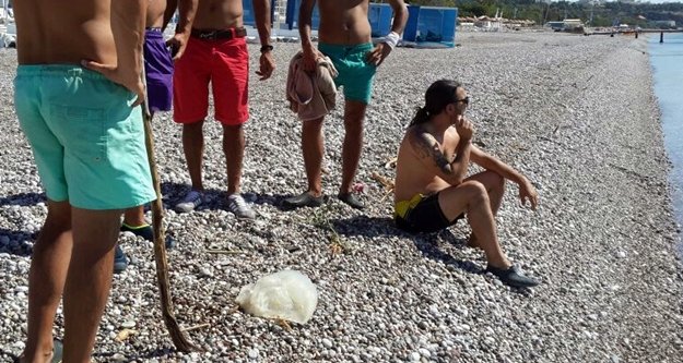 10 kilogram ağırlığındaki zehirli denizanası sahile vurdu