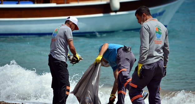 Adrasan sahili yaz sezonuna hazır