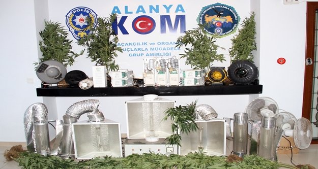 Alanya'da 10 ayrı adrese şafak operasyonu