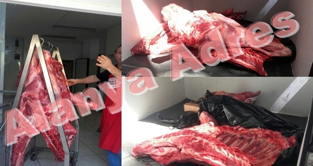 Alanya'da kaçak ete zabıta baskını