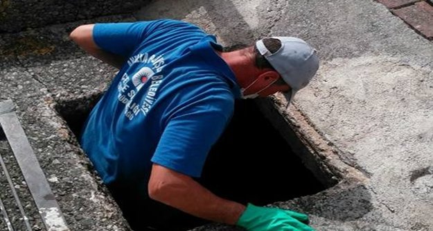 Alanya sineksiz bir yaz geçirecek