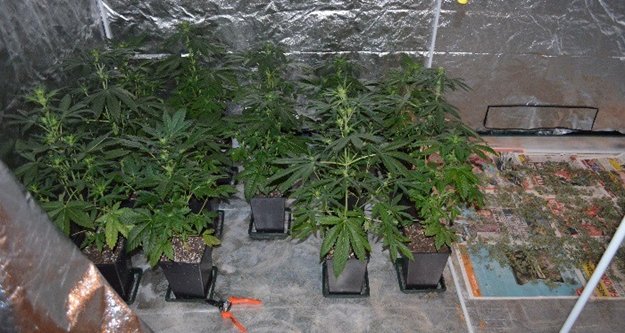 Alanya'yı zehirleyen şahıs yakalandı