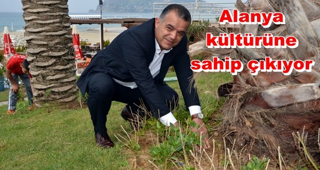 Alanya’nın parklarına su kabağı ektiler