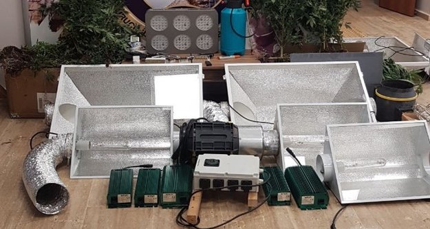 Apartman dairesine 223 kök Hint keneviri ekmiş