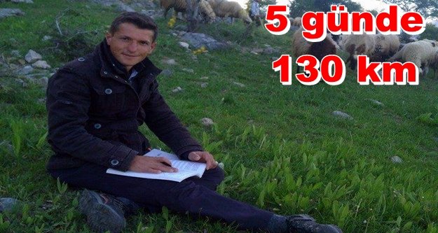 Araştırması için Alanya yaylalarında çoban oldu