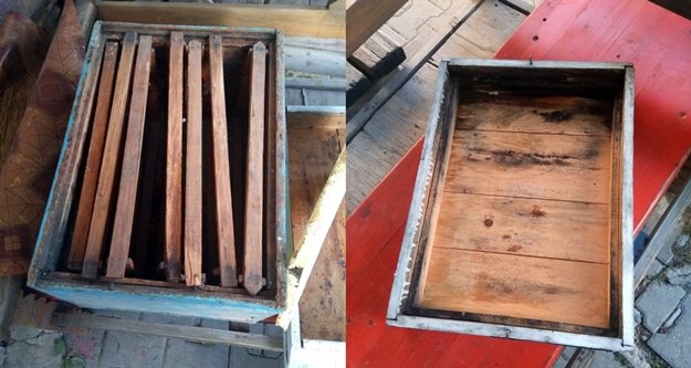 Arı kovanı hırsızı yakayı ele verdi