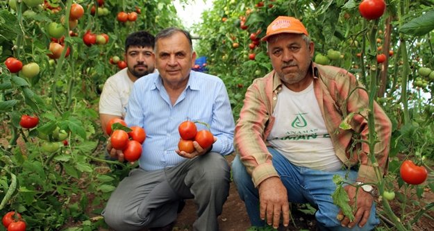Çiftçi isyanda: Zararına satıyoruz
