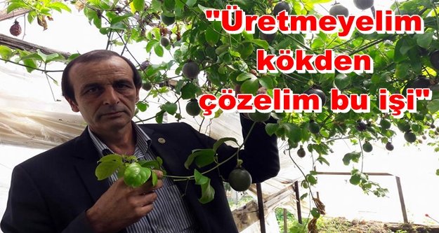 Musluoğlu'nun salatalık isyanı