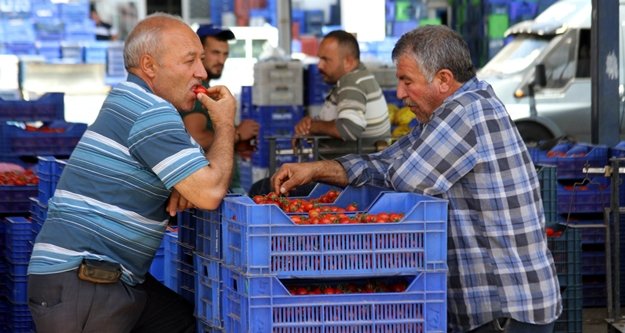 Rusya kapısı açılmazsa domatesler salça olacak