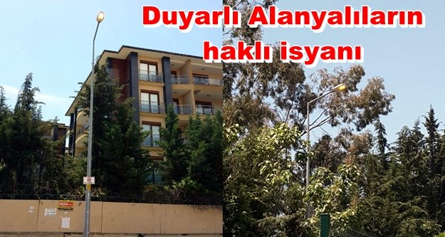 Sokak lambaları neden sönmüyor?