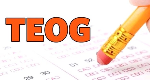 TEOG sonuçları açıklandı