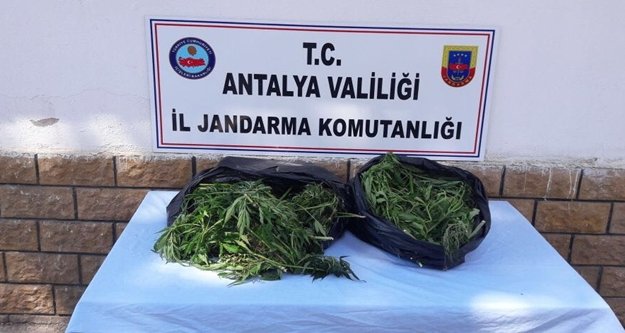 10 kilogram esrar ele geçirildi