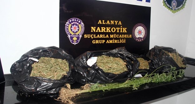 Alanya'da otel odasına esrar baskını