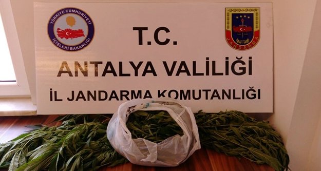 Alanya'da şok! Uyuşturucu taciri serbest bırakıldı