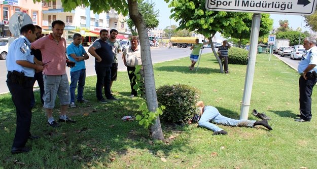 Bonzai kullanan genç krize girdi