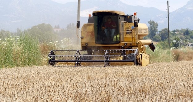 Buğday üreticisinin imdadına ANTBİRLİK yetişti