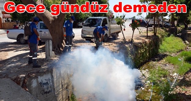 Büyükşehir Alanya'da sinek avlıyor