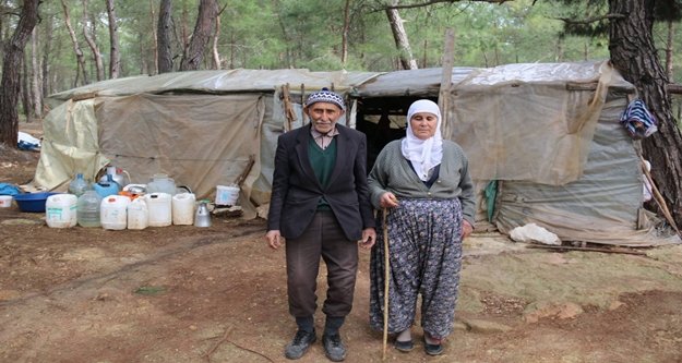 Hüseyin Dede çadırda yaşamaktan kurtuldu