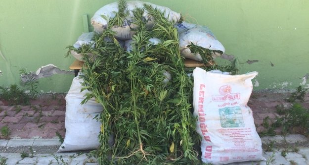 Jandarma önce yakaladı sonra yaktı