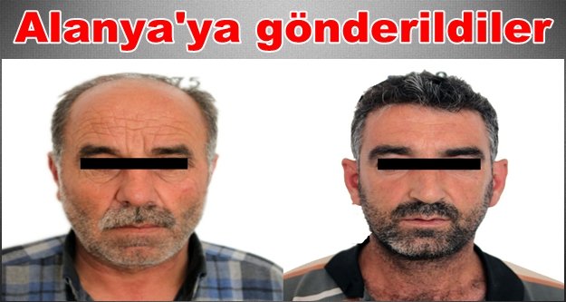 Keçi hırsızları yakalandı