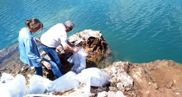 Oymapınar'a 50 bin yavru sazan balığı salındı