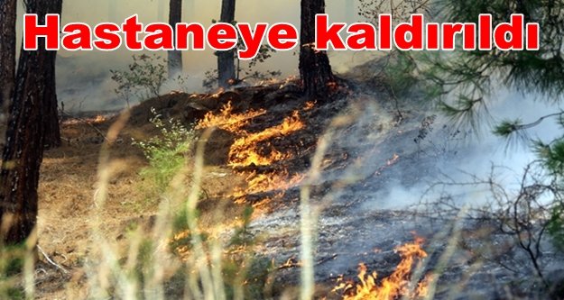 Yangından kötü haber geldi: Orman şefi de yandı